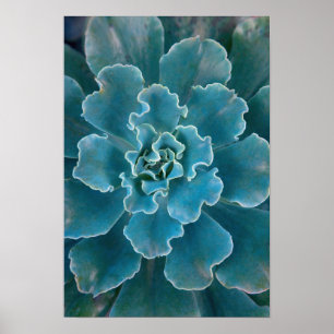 San Francisco Californias Golden Gate Park and Poster