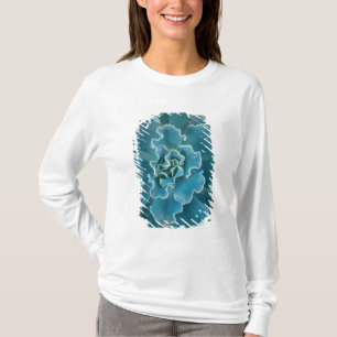 San Francisco Californias Golden Gate Park and T-Shirt