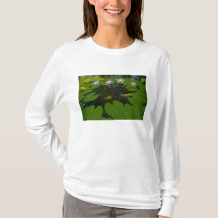 San Francisco Californias Golden Gate Park and T-Shirt