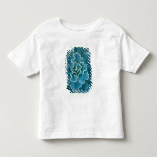 San Francisco Californias Golden Gate Park and Toddler T-Shirt