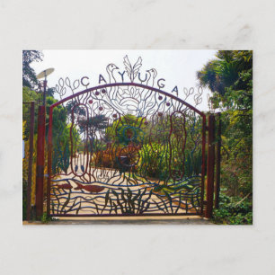 San Francisco Cayuga Park Postcard