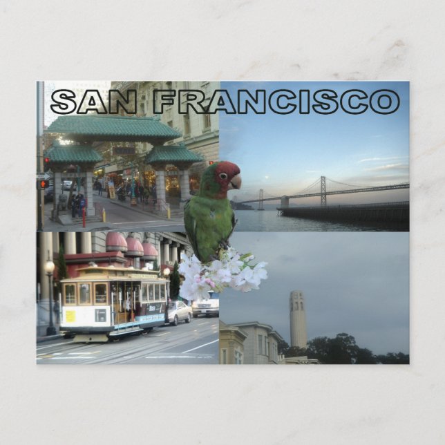 San Francisco collage Postcard (Front)