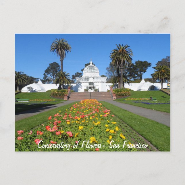 San Francisco Conservatory of Flowers Postcard (Front)