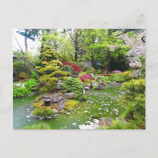 San Francisco Japanese Tea Garden #11 Postcard (Front)