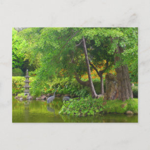 San Francisco Japanese Tea Garden Pond #4 Postcard