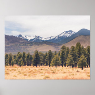San Francisco Mountains Poster