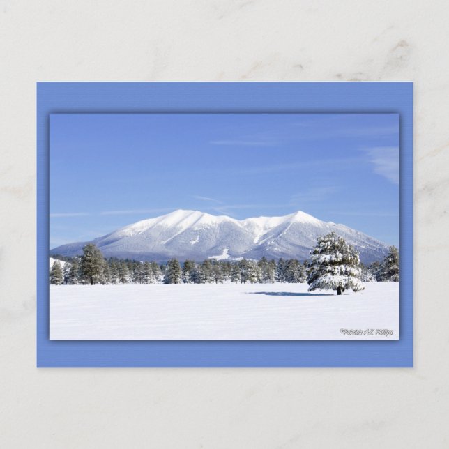 San Francisco Peaks In Snow Postcard (Front)
