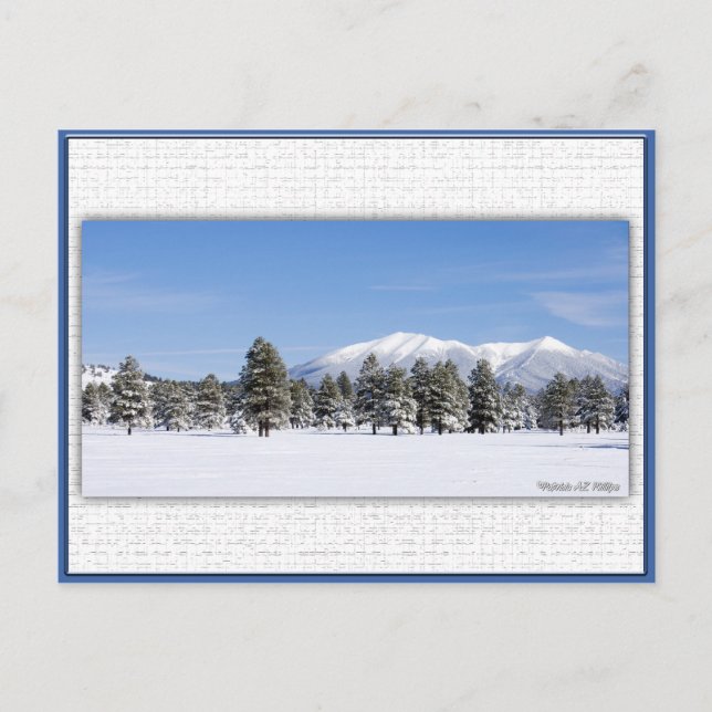 San Francisco Peaks In Snow Postcard (Front)