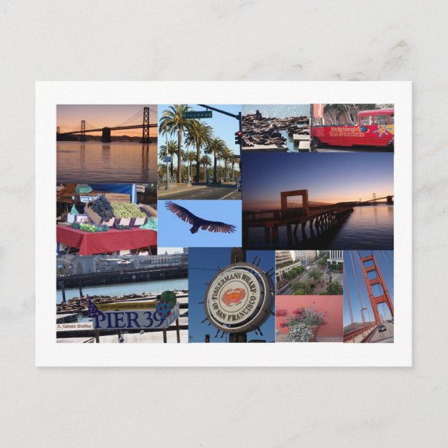 San Francisco Photo Collage Postcard (Front)
