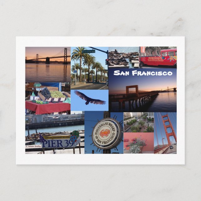 San Francisco Photo Collage Postcard (Front)