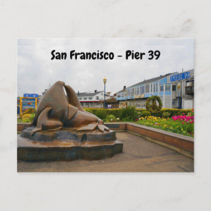 San Francisco Pier 39 #13 Postcard
