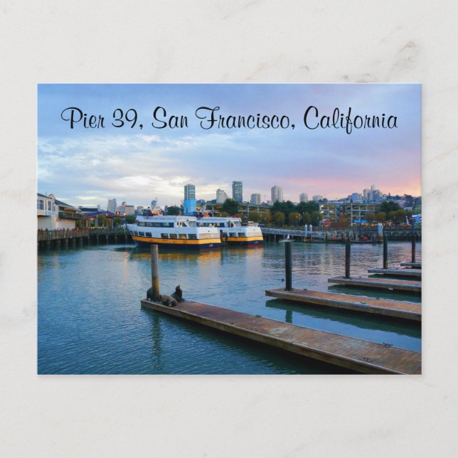 San Francisco Pier 39 #2-2 Postcard (Front)