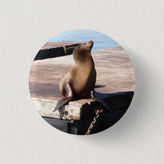 San Francisco Pier 39 Sea Lion Pinback Button (Front)