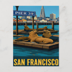 San Francisco Pier 39 Sea Lions California Coastal Postcard