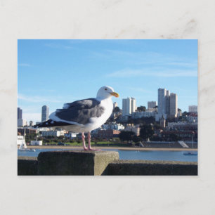 san francisco. postcard