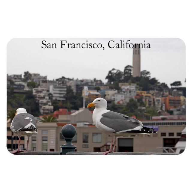 San Francisco Seagull Premium Flexi Magnet (Horizontal)