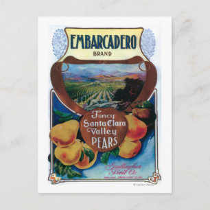 San Jose, CaliforniaEmbarcadero Pear Label Postcard