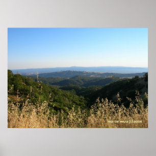 San Jose Foothills Dry Grass Poster