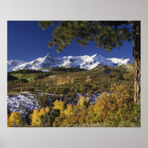 San Juan Mountains and Aspen trees in fallcolor Poster