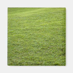 San Juan, Puerto Rico - Green grass is Magnet