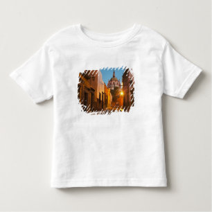 San Miguel de Allende, Mexico. Credit as: Nancy Toddler T-Shirt