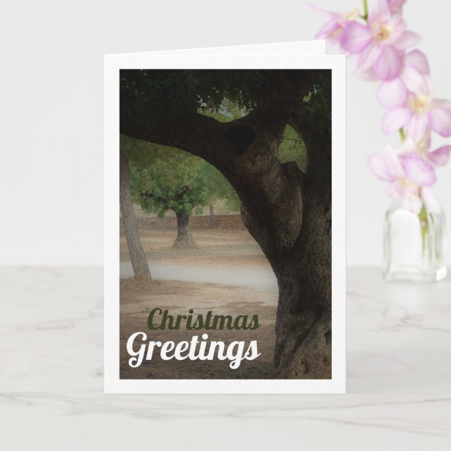 San Vicente Park Lliria, Valencia Card (Orchid)