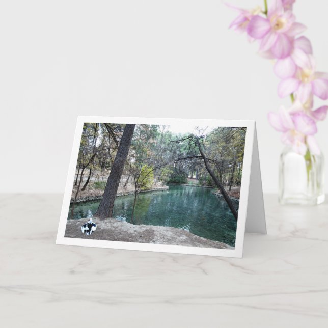 San Vicente Park, Lliria, Valencia, Spain Card (Orchid)