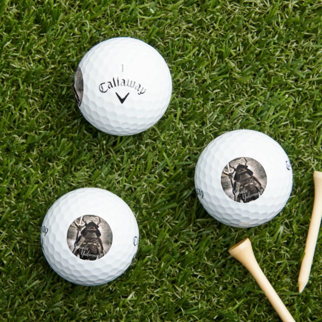 SANADA YUKIMURA golf ball (Insitu Grass)