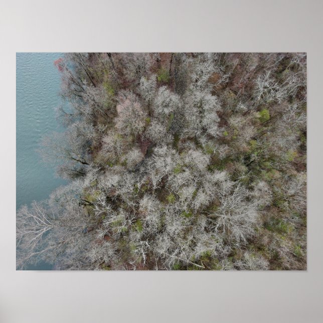 Sanatoga Woods Schuylkill River PA Poster (Front)