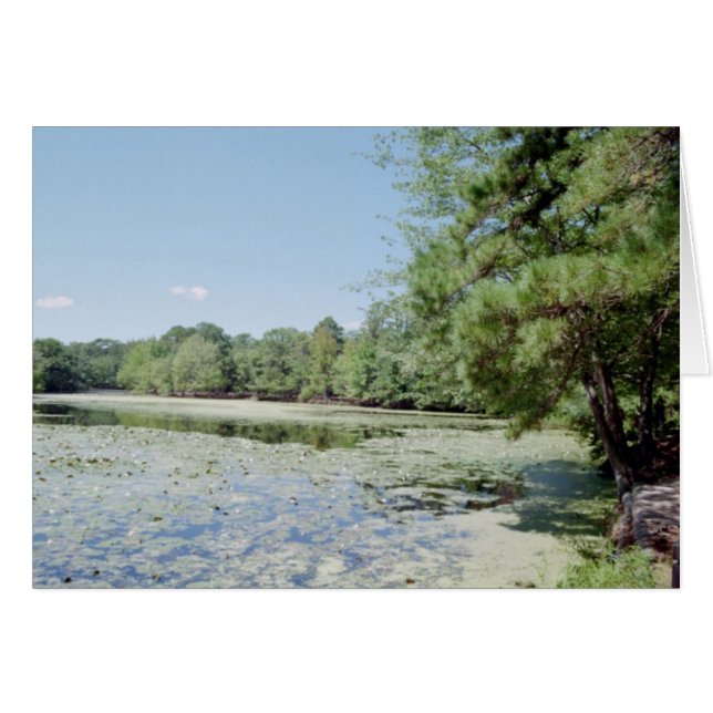 Sanctuary (Front Horizontal)