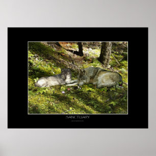 SANCTUARY Art Poster