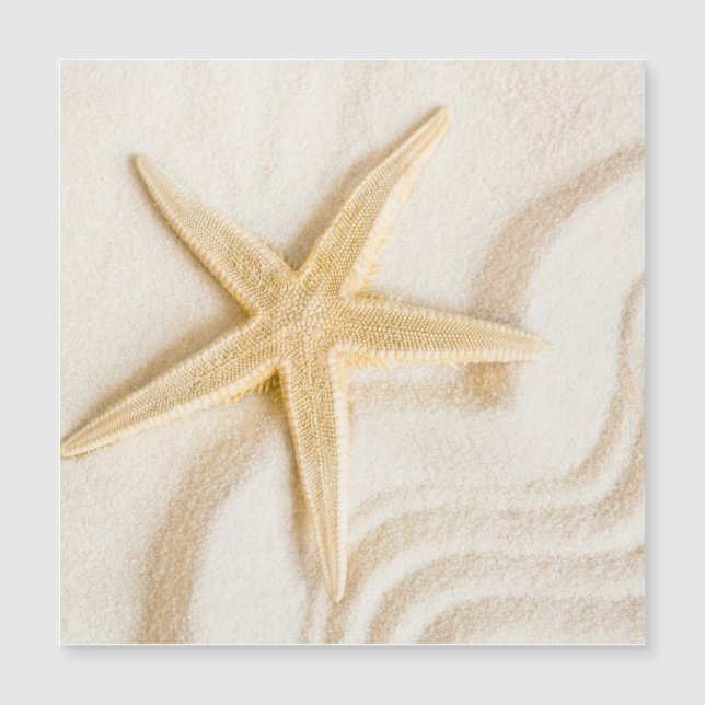Sand and a Starfish natural neutral colour  (Front)