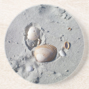 Sand and Seashells Coaster