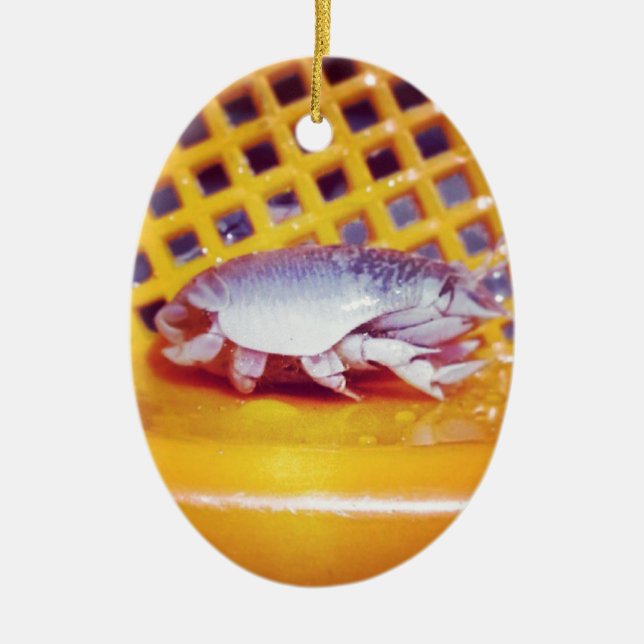 Sand Crabs (Photography) Ceramic Tree Decoration (Front)