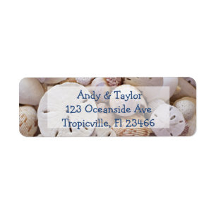 Sand dollar and Seashells Return Address Labels