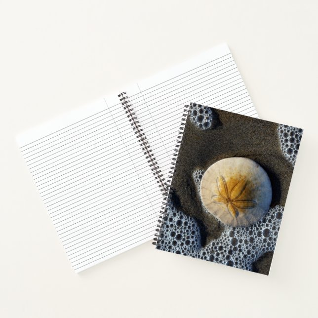 Sand Dollar and Surf Beach Photo 8x11 Notebook (Inside)
