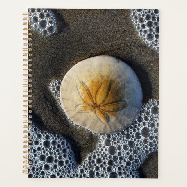 Sand Dollar and Surf Beach Photo Planner (Front)