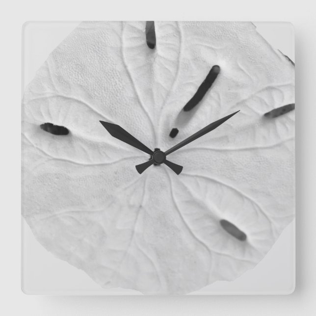 Sand Dollar Beach Coastal Black White Trendy Cool Square Wall Clock (Front)