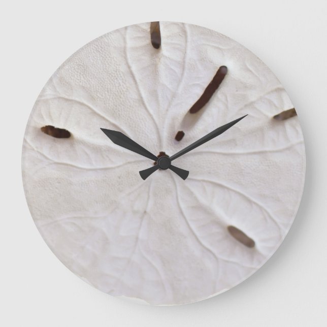Sand Dollar Beach Coastal White Grey Trendy Cool Large Clock (Front)