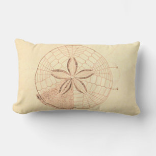 Sand Dollar Beach Illustration Lumbar Cushion