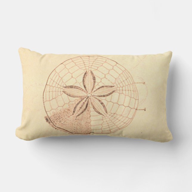 Sand Dollar Beach Illustration Lumbar Cushion (Front)