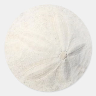 Sand Dollar Beach Party Round Sticker