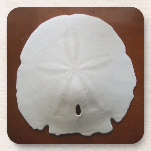 Sand Dollar Cork Coasters