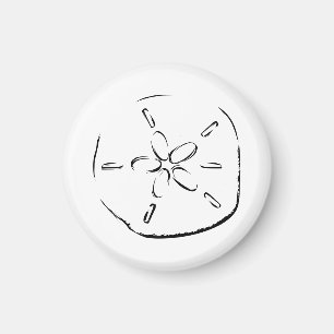 Sand Dollar Drawing Magnet