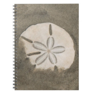 Sand dollar (Echinarachnius parma) Notebook