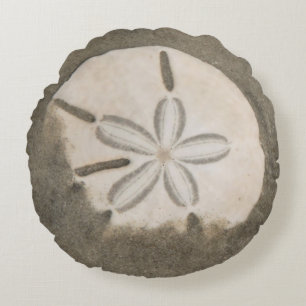 Sand dollar (Echinarachnius parma) Round Cushion
