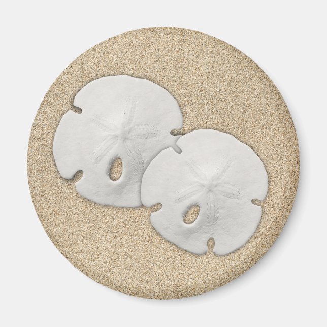 Sand Dollar Magnet (Front)