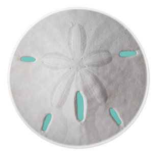 Sand dollar ocean beach summer turquoise white co ceramic knob