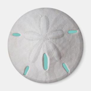 Sand dollar ocean beach summer turquoise white  magnet