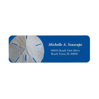 Sand Dollar on Bold Blue